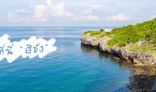 cover ที่นี่ "เกาะสีชัง"
