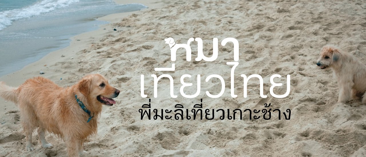cover หมาเที่ยวไทย พี่มะลิพาเที่ยวเกาะช้าง