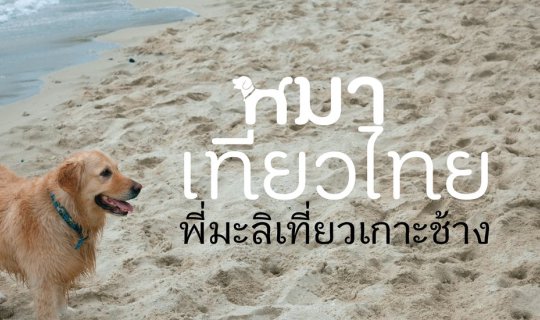cover หมาเที่ยวไทย พี่มะลิพาเที่ยวเกาะช้าง