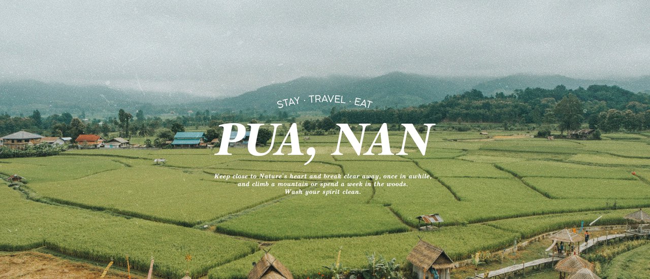 cover PUA | ปลายฝนนี้... เที่ยวน่าน ทุ่งนา ฟาร์มสเตย์ ทะเลหมอก
