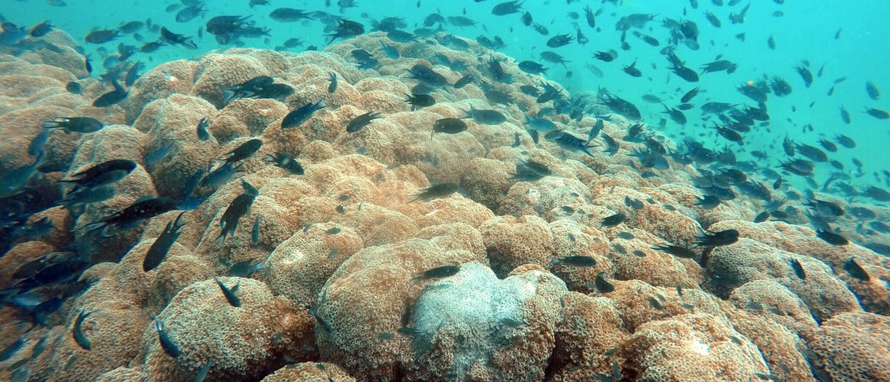 cover เปิดโลกใหม่ ในโลกใบเดิม