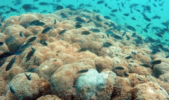 Cover เปิดโลกใหม่ ในโลกใบเดิม...