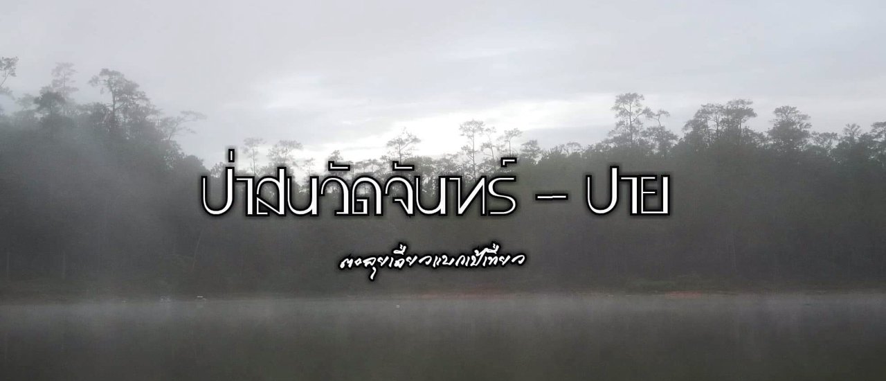 cover ป่าสนวัดจันทร์ - ปาย