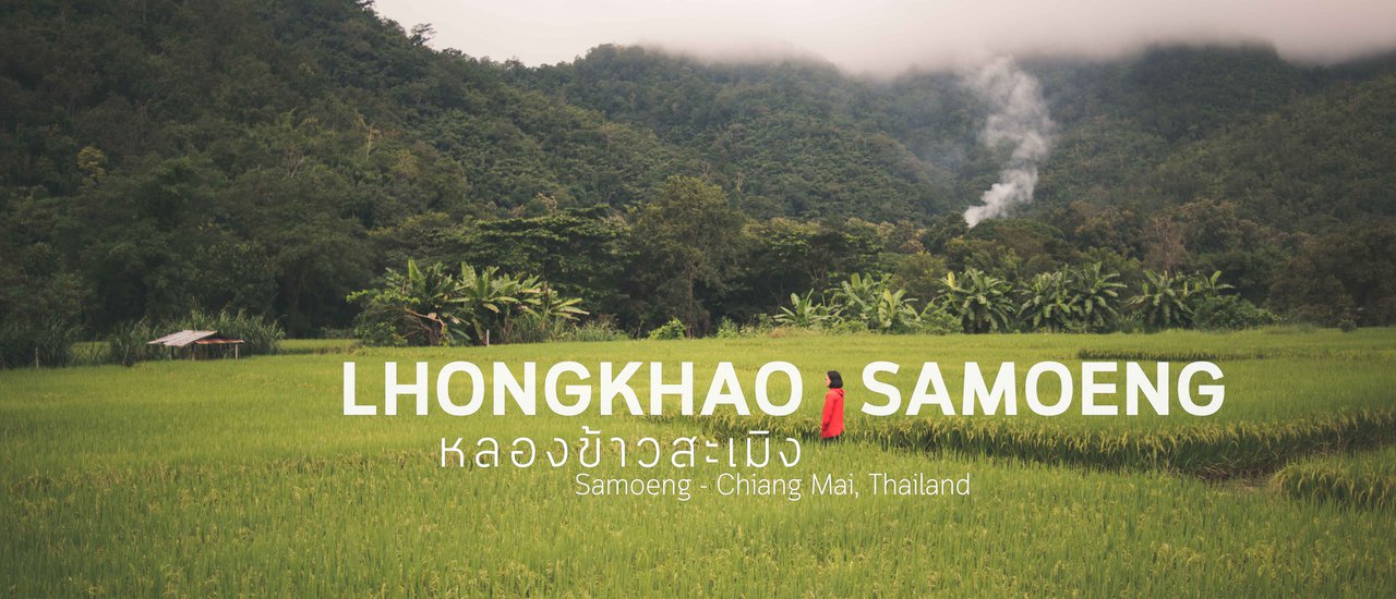 cover หลองข้าวสะเมิง : Lhongkhao Samoeng