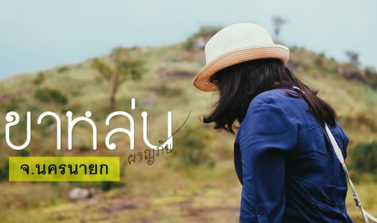 profile cover