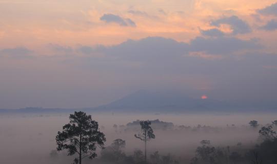 cover "ถอดหัวใจไว้ที่ทุ่งแสลงหลวง"