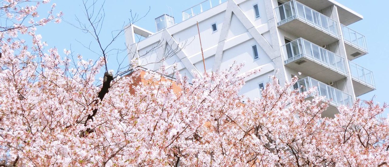 cover Mini Review โรงแรม New Tohoku Ueno โตเกียว // U-city นาริตะ และ Shisui Outlet แหล่งช๊อปปิ้งแหล่งใหม่ใกล้สนามบินนาริตะ