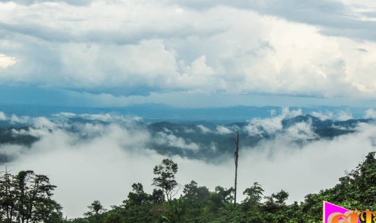 cover "สวนยาหลวง" ในวันที่รถขึ้นไม่ได้ กับ บรรยากาศ ฝน และ หมอก สุดฟินนนนน