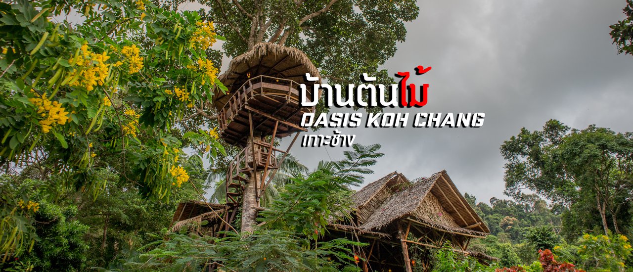 cover ตามหาบ้านต้นไม้ oasis koh chang เกาะช้างเลี้ยวขวา และปาร์ตี้สุดมันหาด โลนลี่บีช