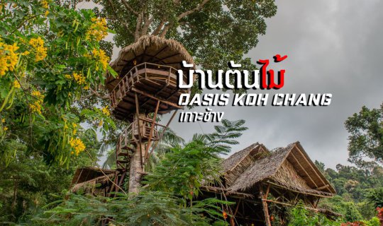 cover ตามหาบ้านต้นไม้ oasis koh chang เกาะช้างเลี้ยวขวา และปาร์ตี้สุดมันหาด โลนลี่บีช