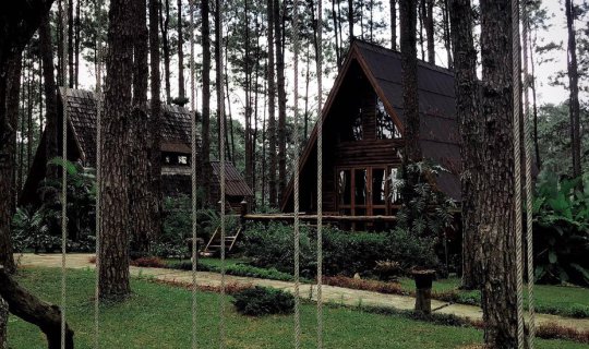 Cover 🏕เชียงใหม่ ปลายฝนต้นหนาว นอนกลางป่าสนกัน🌲...