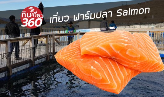 Cover ไปฟาร์มปลา Salmon ที่ NewZealand...