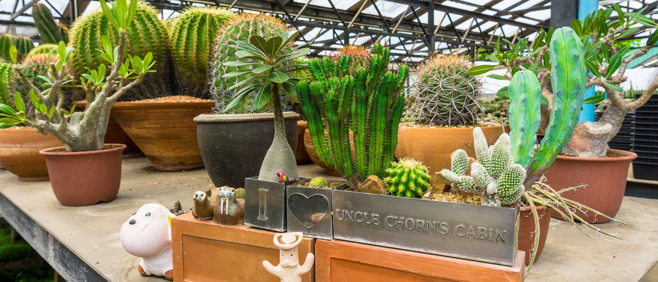 cover เที่ยว ชิม ชิลล์ @ ปทุมธานี