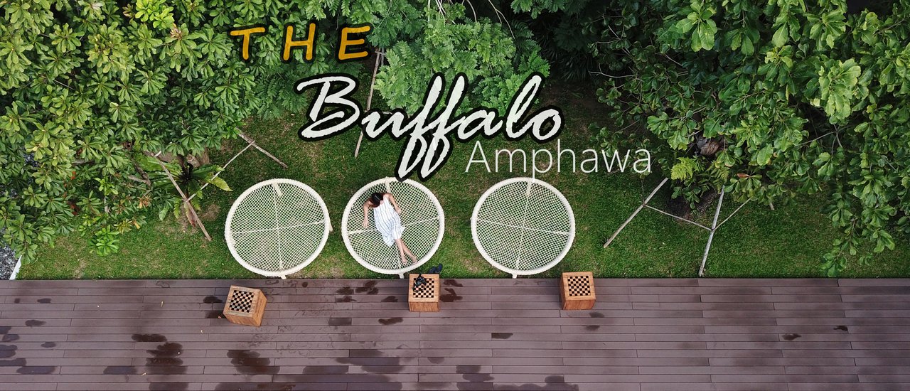 cover เที่ยวแบบชิค ๆ พักแบบโก้ ๆ ที่ The Buffalo Amphawa