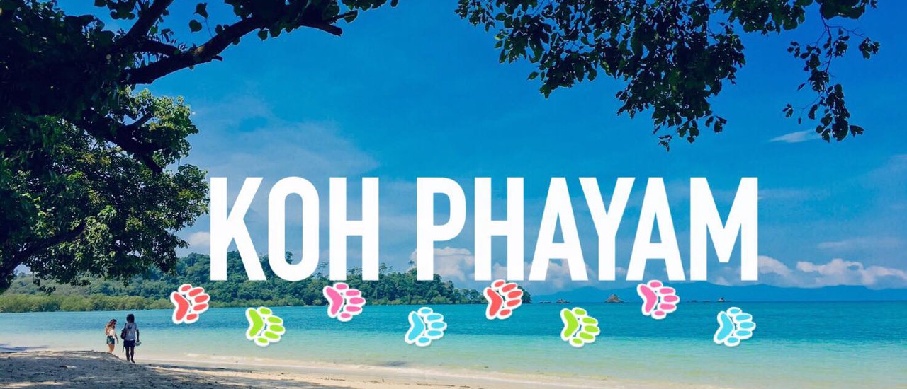 cover #เกาะพยายามที่ไม่ต้องพยายาม2วัน1คืน