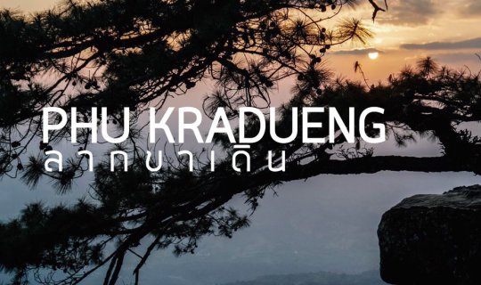 Cover ภูกระดึง ไปล่าทางช้างเผือก ล่าน้ำตก ล่าหมอก หยอกทาก...