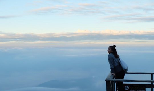 cover หนาวนี้ที่ดอยอินทนนท์