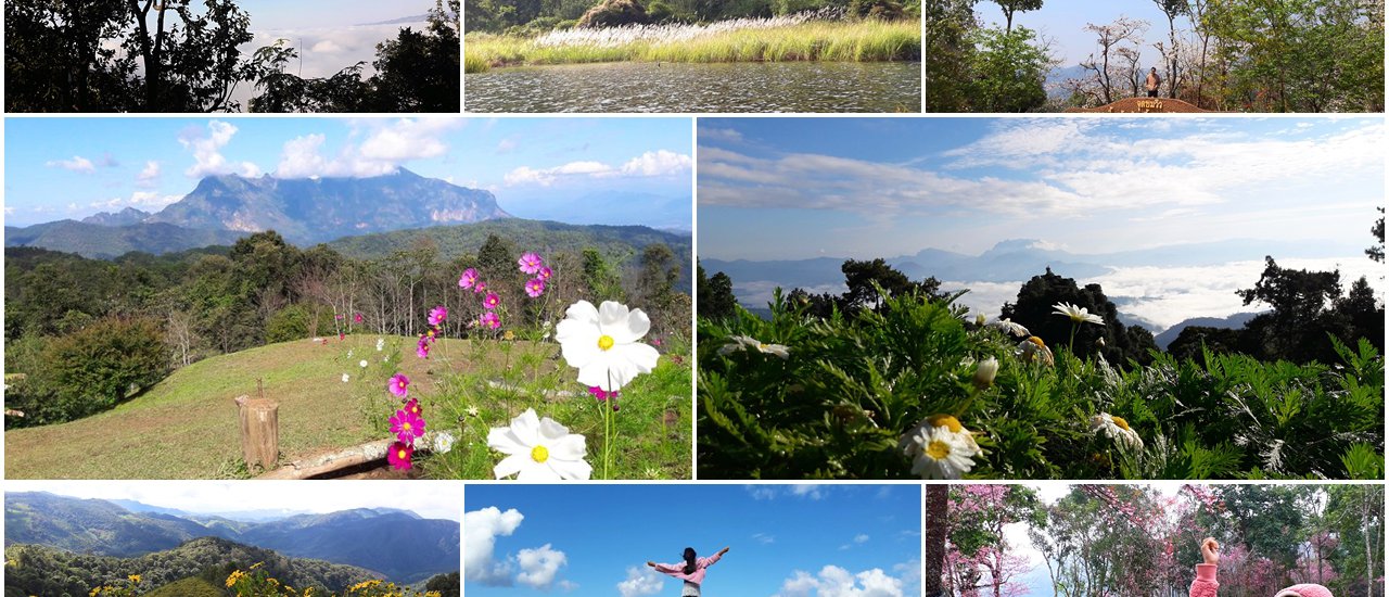 cover รวมจุดเช็คอินหน้าหนาวสุดโรแมนติกภาคเหนือ ที่ไหนอย่างไรไปดูกัน ^^