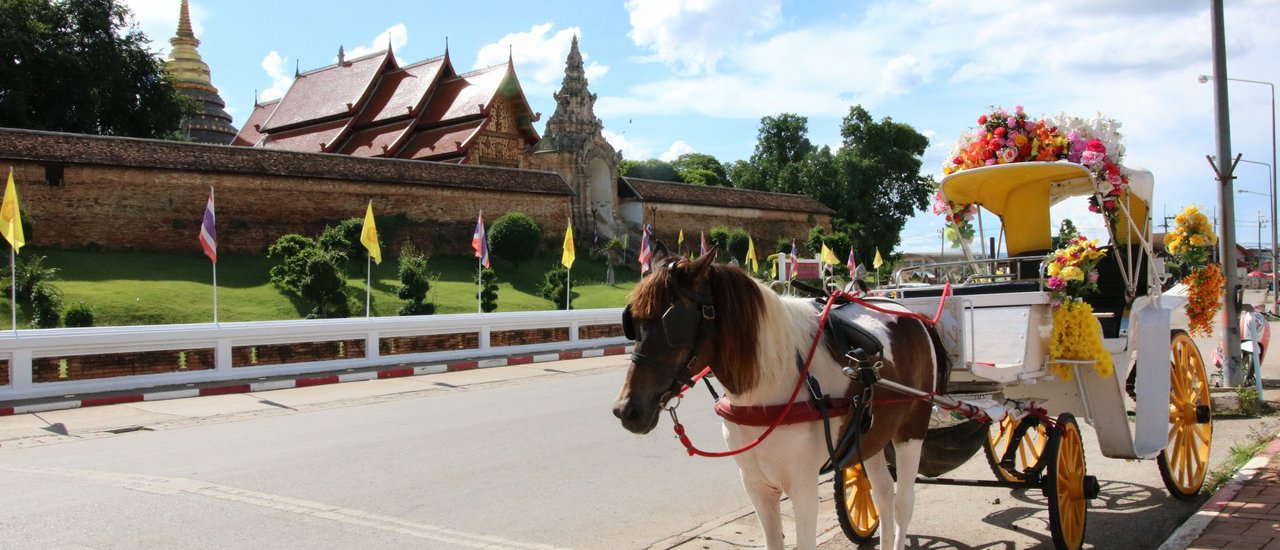 cover เขลางค์นคร เมืองต้องมนต์ ที่ใครๆต้องหลงรัก