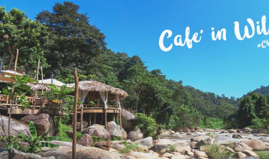 Cover ที่นี่ Cafe' in Wild...