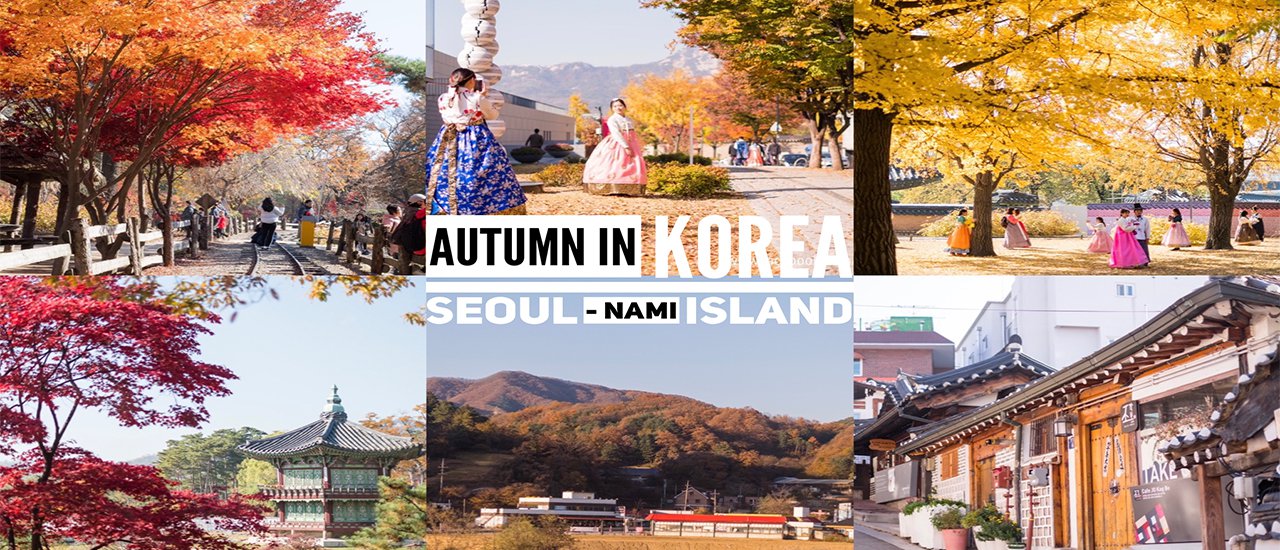cover Autumn in Korea : ตกหลุมรักใบไม้เปลี่ยนสี..จากโซลถึงเกาะนามิ