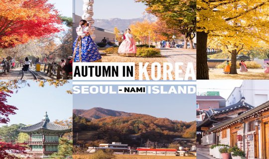 cover Autumn in Korea : ตกหลุมรักใบไม้เปลี่ยนสี..จากโซลถึงเกาะนามิ