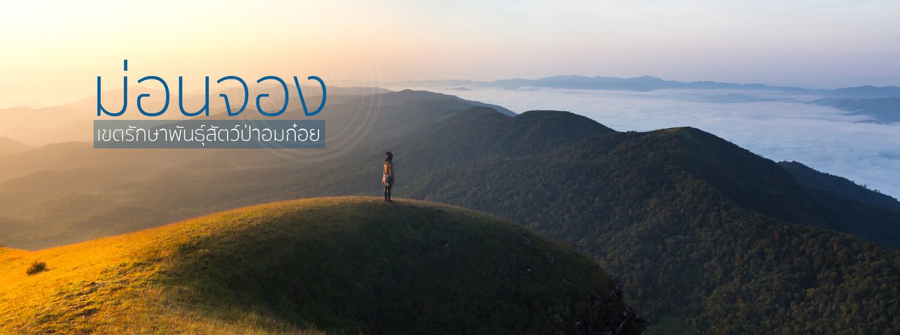 cover "ดอยม่อนจอง" ขุนเขาแห่งเขตรักษาพันธุ์สัตว์ป่าอมก๋อย