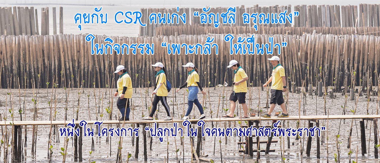 cover คุยกับ CSR คนเก่ง “อัญชลี อรุณแสง” ในกิจกรรม “เพาะกล้า ให้เป็นป่า” หนึ่งในโครงการ “ปลูกป่าในใจคนตามศาสตร์พระราชา”