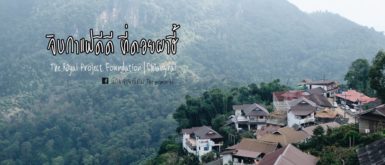 cover จิบกาแฟดีดี ที่ดอยผาฮี้ จ.เชียงราย