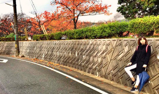 Cover life in sakaiminato...