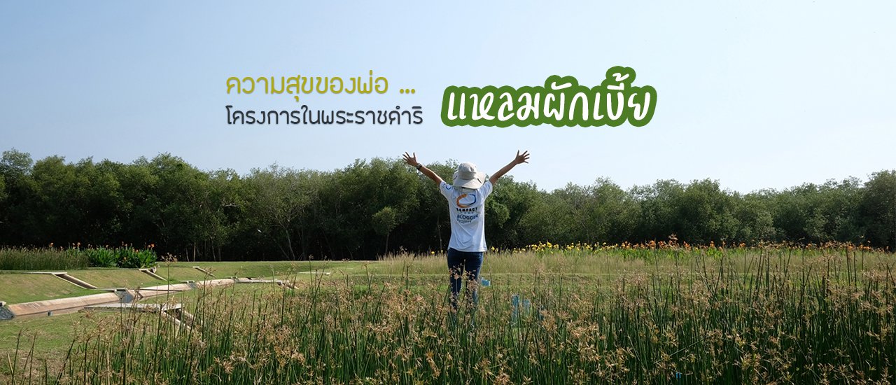 cover ตามรอยพ่อ โครงการแหลมผักเบี้ย จ.เพชรบุรี