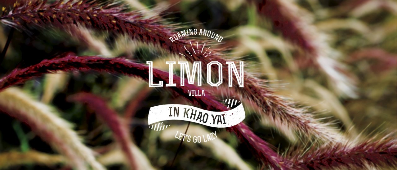 cover คิดถึงเขา ไปหาเขา | Limon Villa Khaoyai |