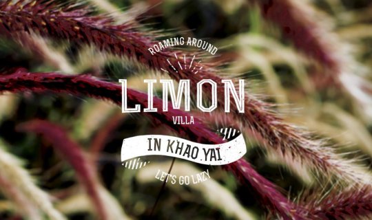 cover คิดถึงเขา ไปหาเขา  |  Limon Villa Khaoyai  |