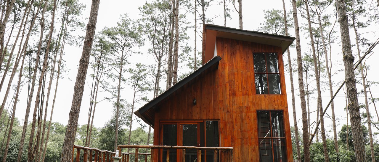 cover ‘ สวนป่าดอยบ่อหลวง ’ ที่พักหลักร้อย จ.เชียงใหม่ หนาวนี้ไม่ควรพลาด!