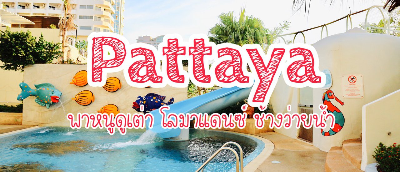 cover Pattaya พาหนูดูเต่า โลมาแดนซ์ ช้างว่ายน้ำ