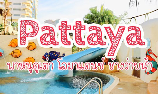 Cover Pattaya พาหนูดูเต่า โลมาแดนซ์ ช้างว่ายน้ำ...