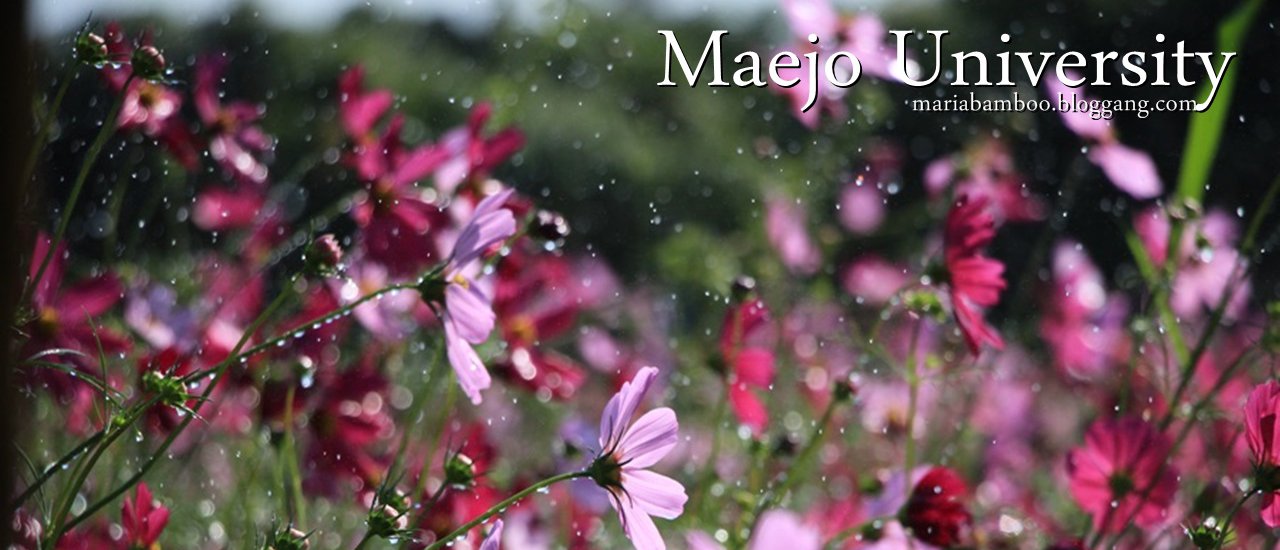 cover ฟาร์มเก้าร้อยไร่ ม.แม่โจ้