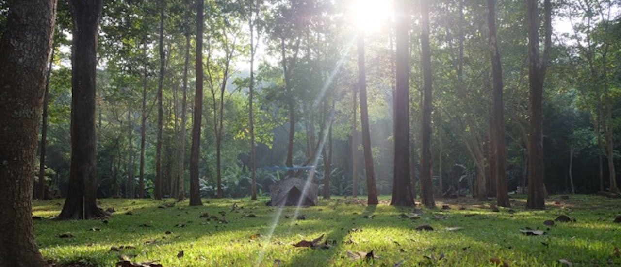 cover รีวิว Car Camp ครั้งแรกของเหม่ง "แจ้ซ้อน-ลำน้ำน่าน" ด้วยงบเกินคาด555