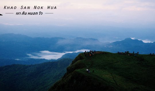 Cover ใครไม่ วัว 'สันหนอก วัว' จ้า...
