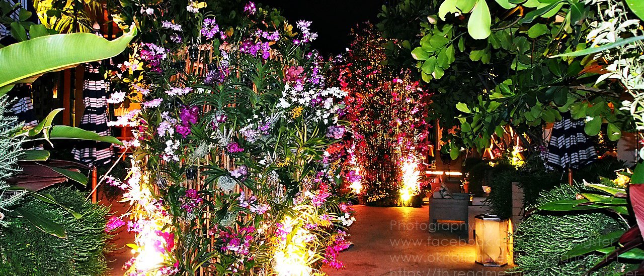 cover เยือน SIWILAI CITY CLUB  ชมประติมากรรมดอกไม้ ‘Orchid Tower’