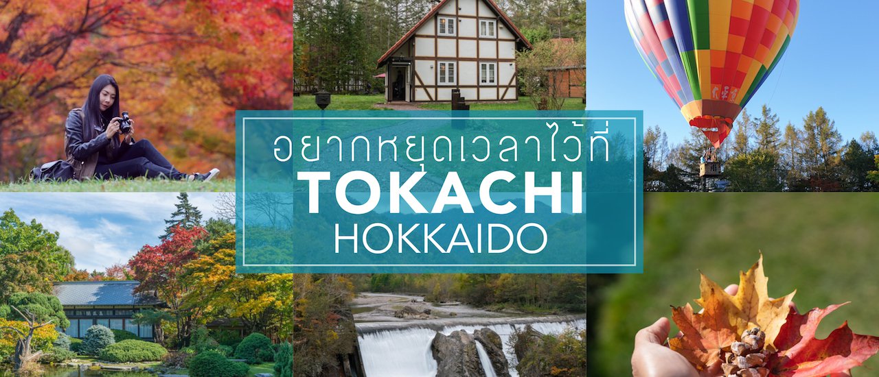 cover เที่ยว Tokachi กับสถานที่สุด Unseen ช่วงใบไม้เปลี่ยนสี Hokkaido