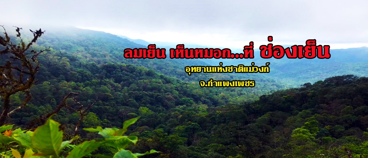 cover ลมเย็น เห็นหมอก...ที่ ช่องเย็น