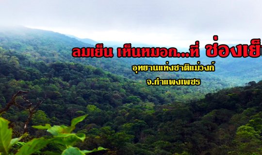 cover ลมเย็น เห็นหมอก...ที่ ช่องเย็น