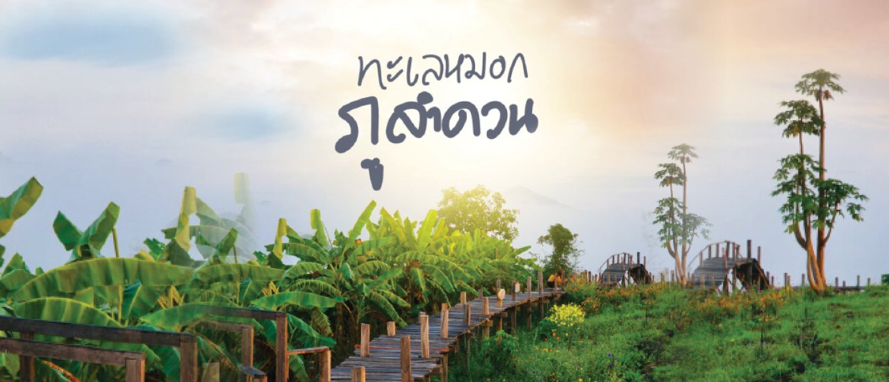 cover ภูลำดวน สกายวอล์ควิวทะเลหมอกแห่งปากชม จ.เลย เพิ่งเปิดใหม่ได้แค่ 2 ปี รีบไปกันนะ!!!!