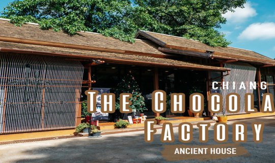 cover The Chocolate Factory Chaing Mai by Paipala