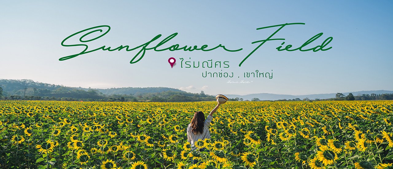 cover ทุ่งทานตะวัน ที่ 1ปีต้องไปเที่ยวถ่ายรูปสักครั้ง 🌻🌻