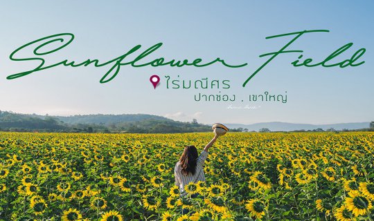 cover ทุ่งทานตะวัน ที่ 1ปีต้องไปเที่ยวถ่ายรูปสักครั้ง 🌻🌻