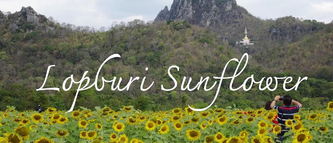 cover นั่งรถไฟ ไปทุ่งทานตะวัน จ.ลพบุรี