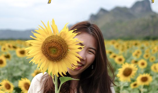 cover One Day วันเดียว เที่ยวลพบุรี