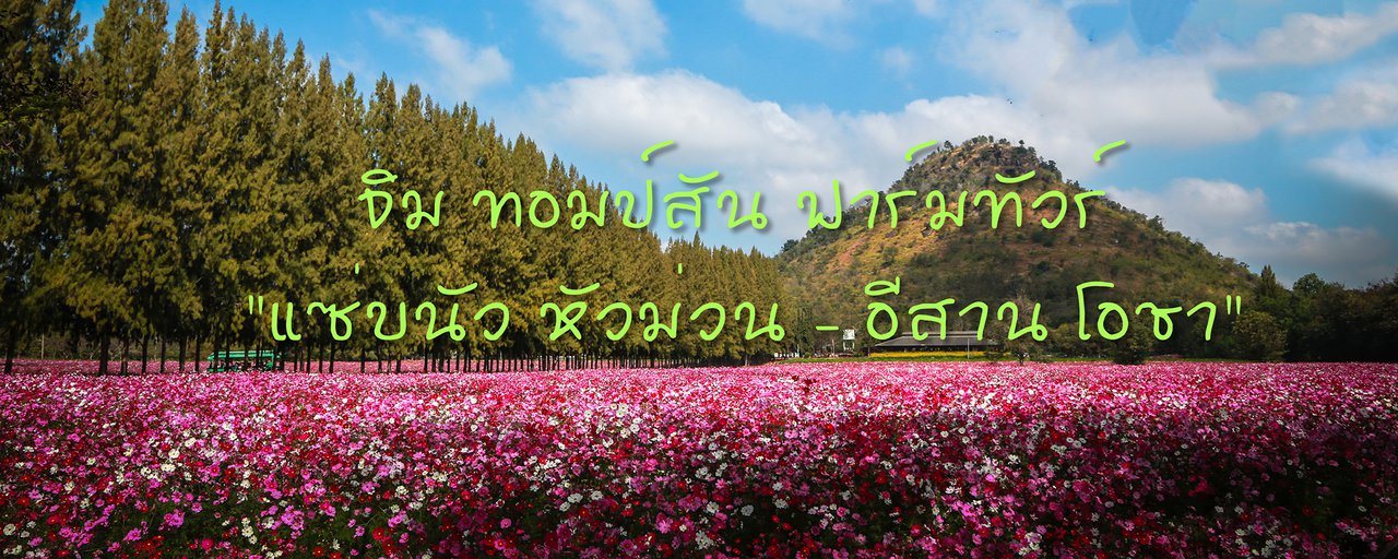 cover หนาวแล้ว ชวนเที่ยว Jim Thompson Farm Tour